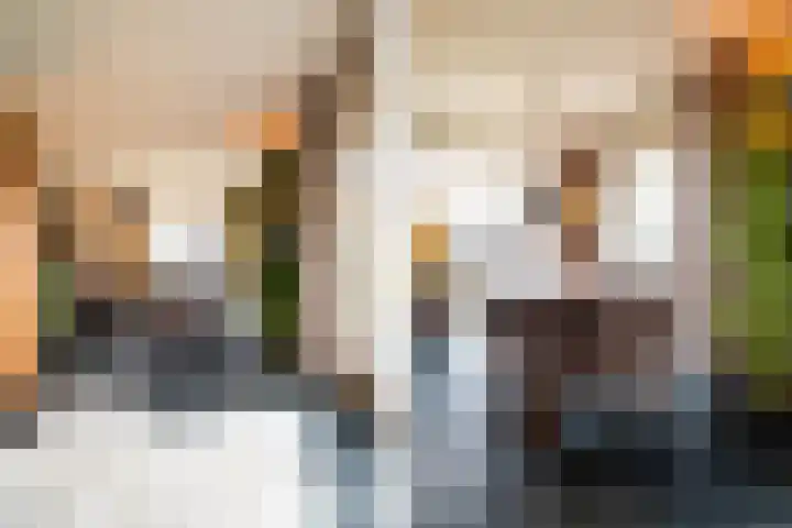 Hendrik Reindersweg 28 83 Pesse thumbnail 12