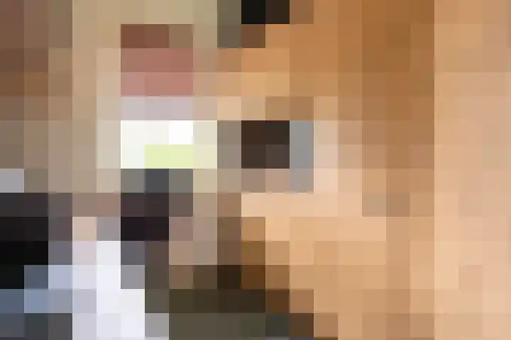 Hendrik Reindersweg 28 83 Pesse thumbnail 13
