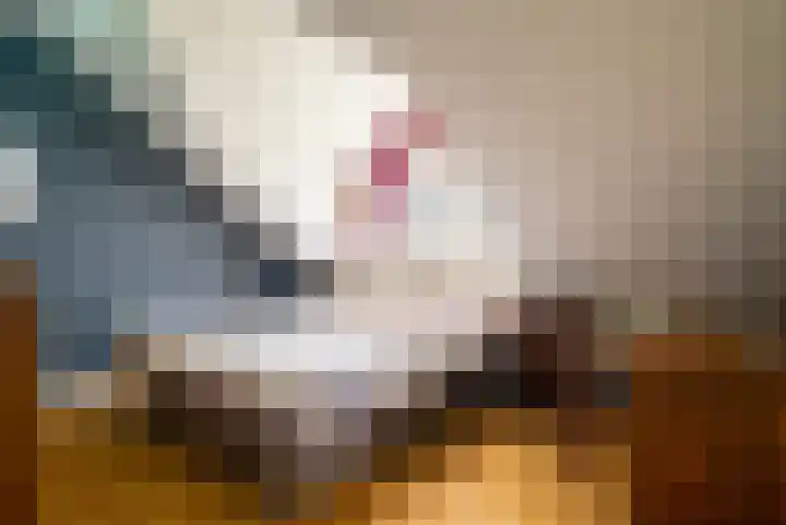 Hendrik Reindersweg 28 83 Pesse thumbnail 22