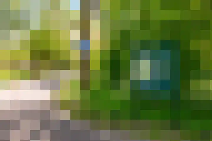 Hendrik Reindersweg 28 83 Pesse thumbnail 25