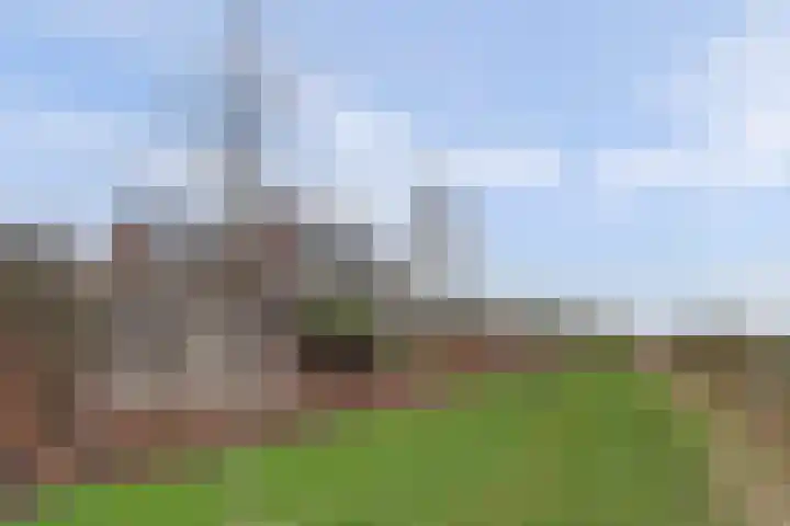 Hendrik Reindersweg 28 83 Pesse thumbnail 29