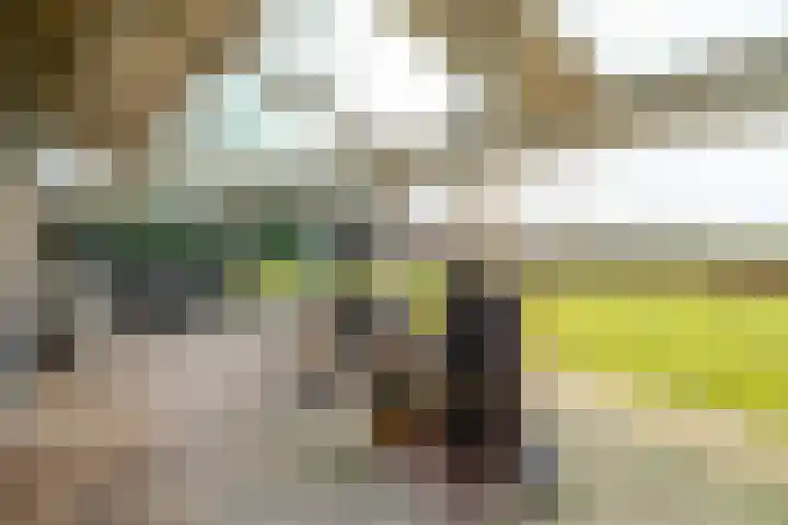 Hendrik Reindersweg 28 83 Pesse thumbnail 32