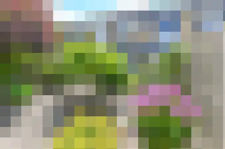 Hendrik Reindersweg 28 83 Pesse thumbnail 33