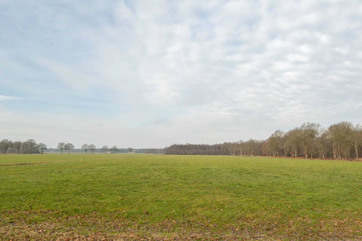Hendrik Reindersweg 28 83 Pesse thumbnail 36