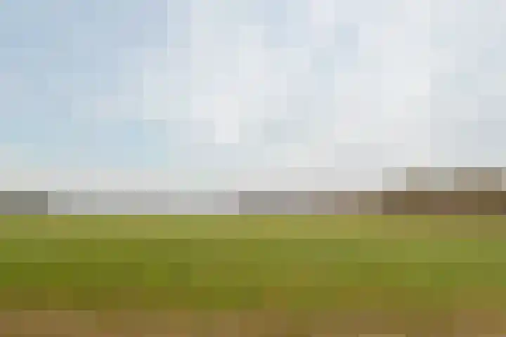 Hendrik Reindersweg 28 83 Pesse thumbnail 36
