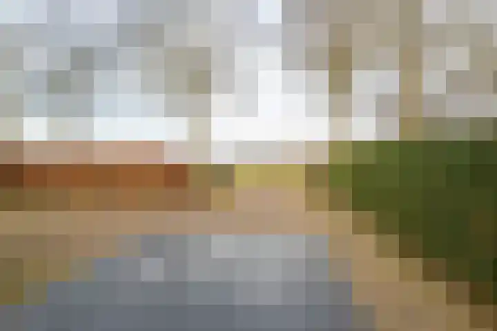 Hendrik Reindersweg 28 83 Pesse thumbnail 37