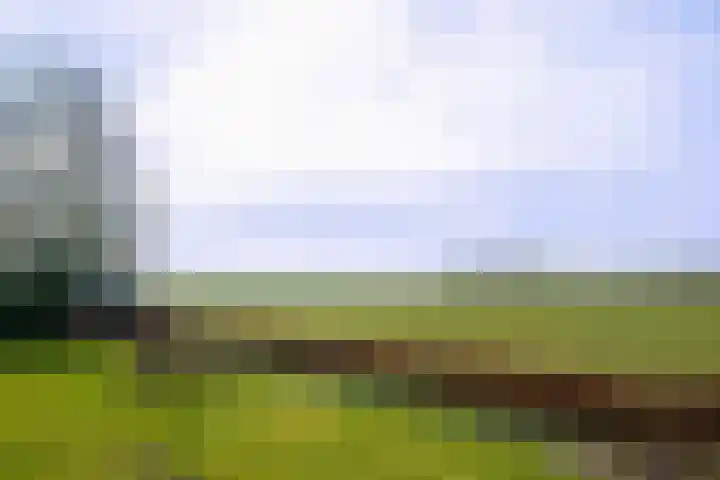 Hendrik Reindersweg 28 83 Pesse thumbnail 4