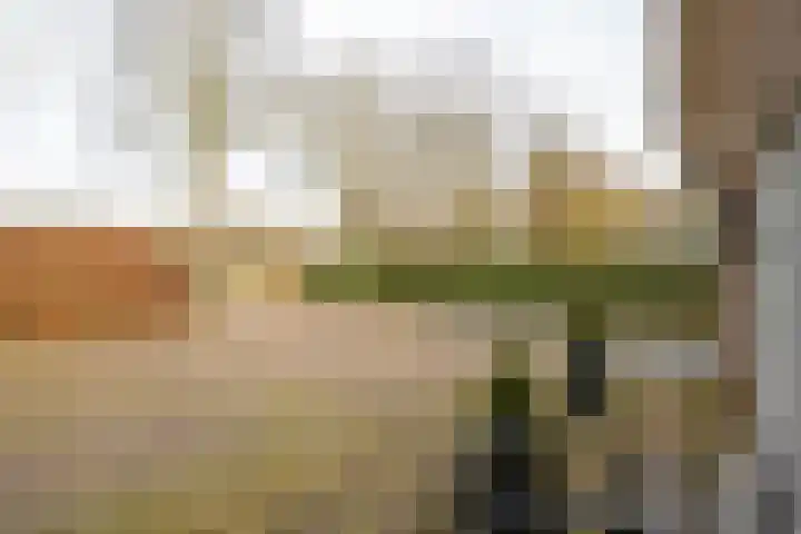 Hendrik Reindersweg 28 83 Pesse thumbnail 41
