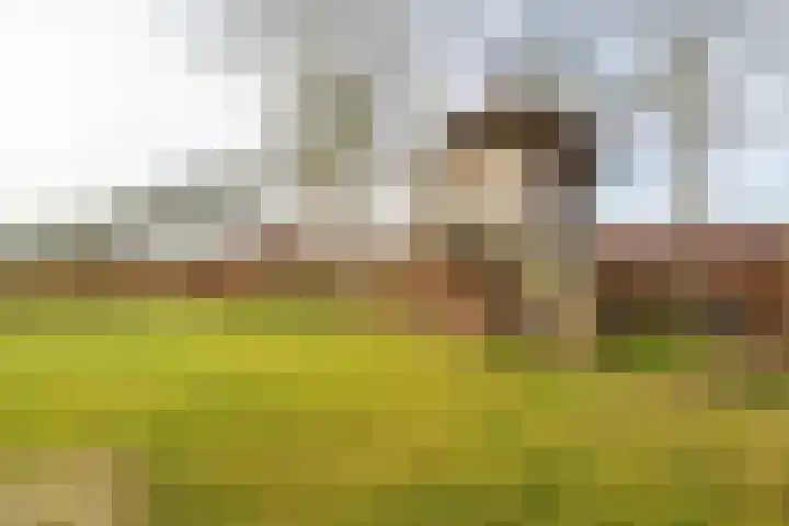 Hendrik Reindersweg 28 83 Pesse thumbnail 42