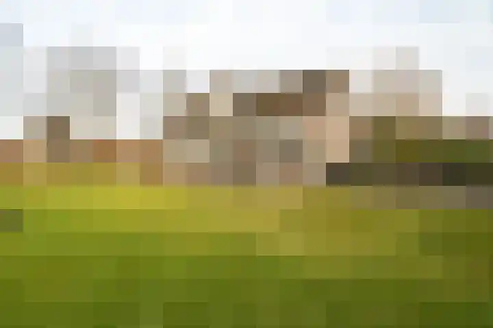 Hendrik Reindersweg 28 83 Pesse thumbnail 43
