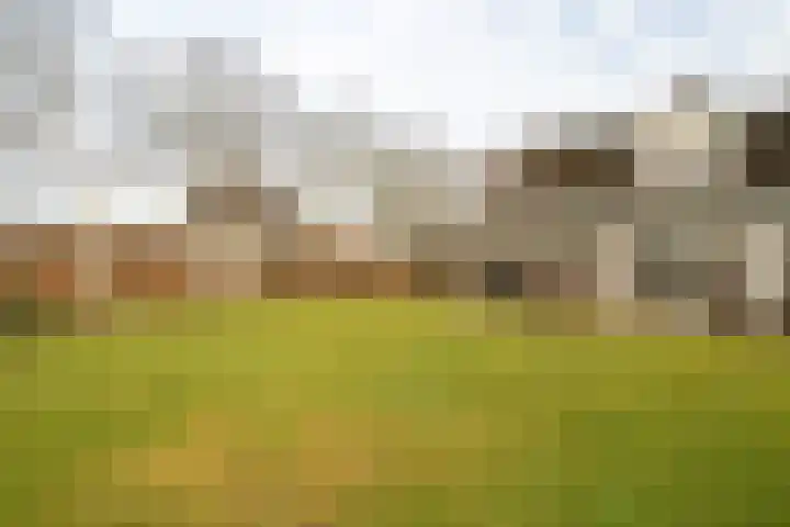 Hendrik Reindersweg 28 83 Pesse thumbnail 44