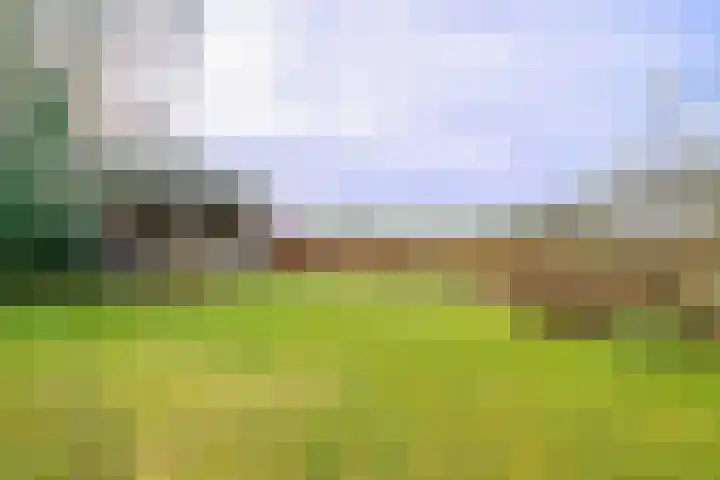 Hendrik Reindersweg 28 83 Pesse thumbnail 45