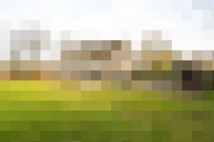 Hendrik Reindersweg 28 83 Pesse thumbnail 46