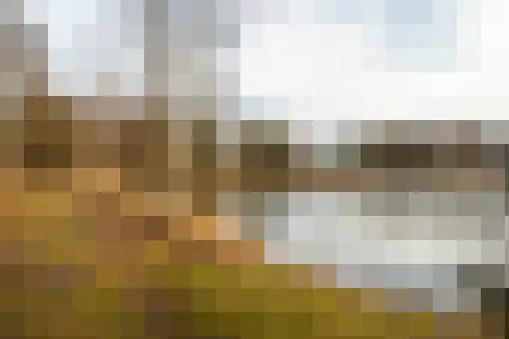 Hendrik Reindersweg 28 83 Pesse thumbnail 47