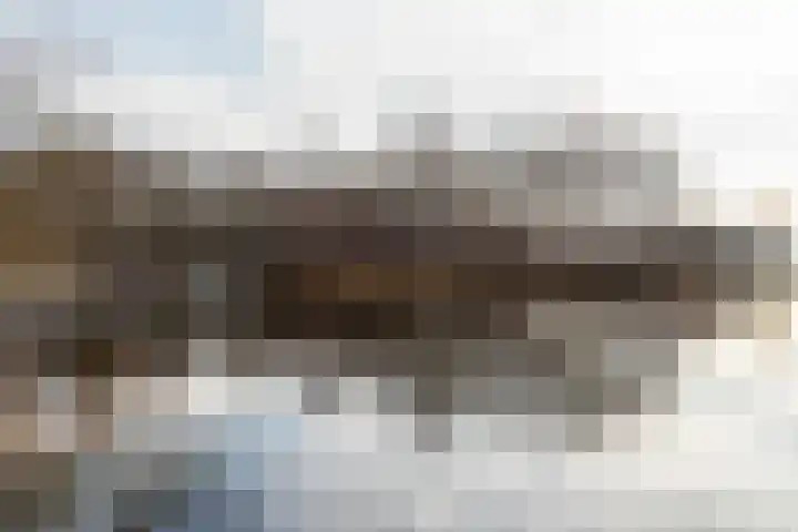 Hendrik Reindersweg 28 83 Pesse thumbnail 48