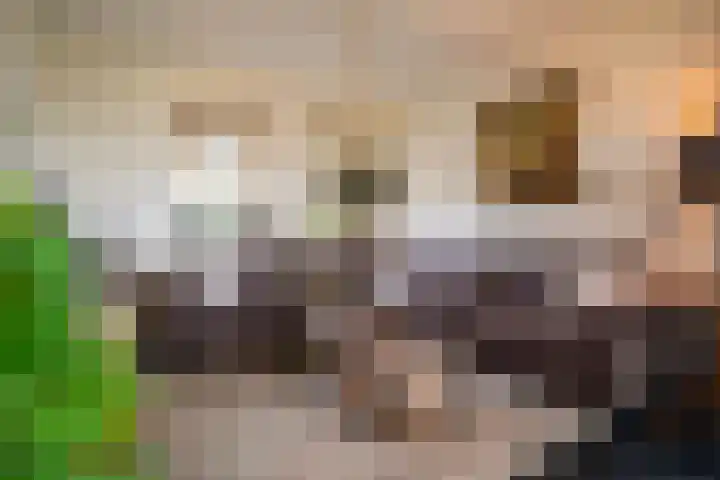 Hendrik Reindersweg 28 83 Pesse thumbnail 7