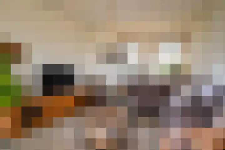 Hendrik Reindersweg 28 83 Pesse thumbnail 8