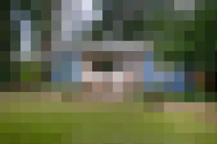 Hendrik Reindersweg 28 91 in Pesse