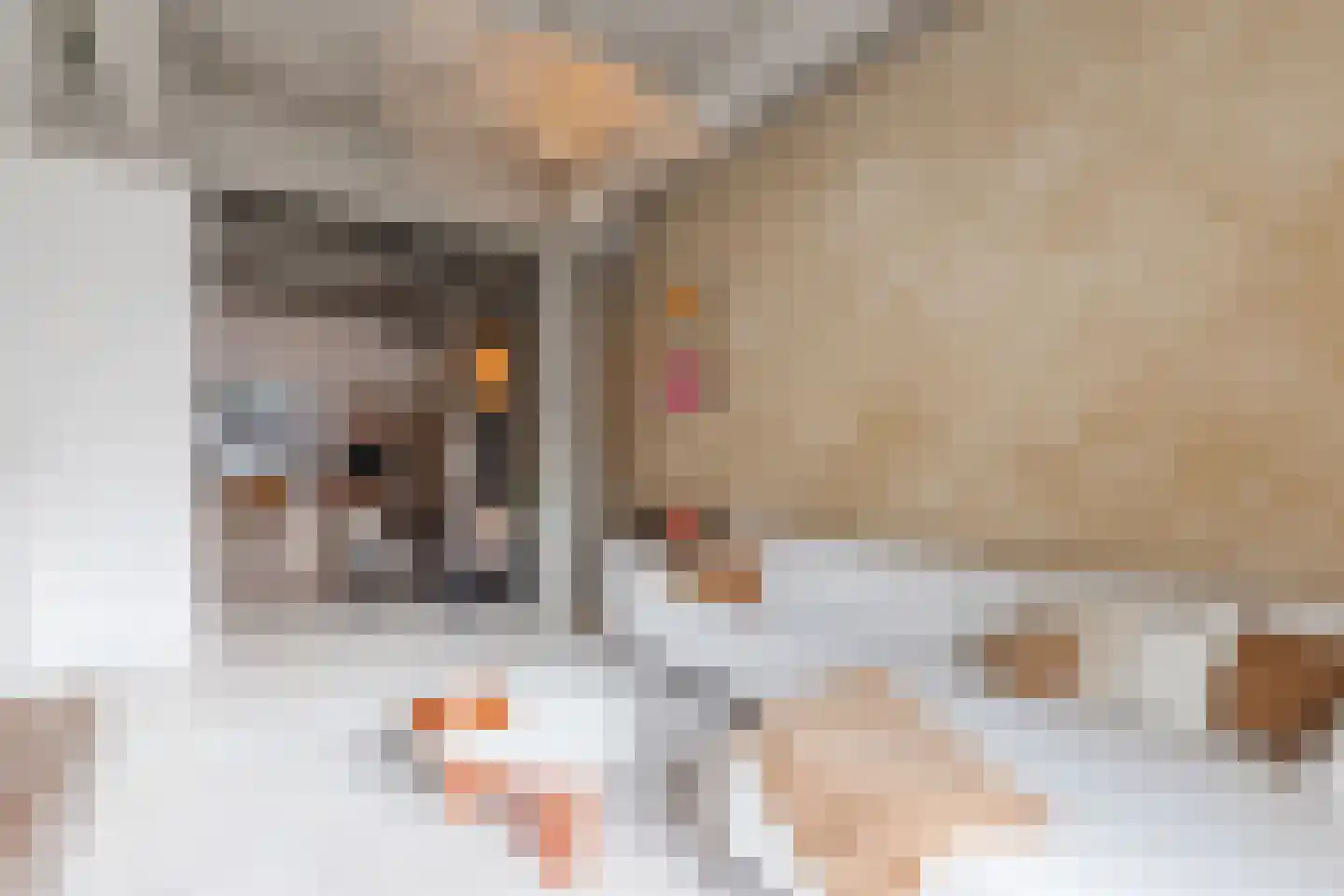 Hendrik Ringershof 11 Alkmaar thumbnail 16
