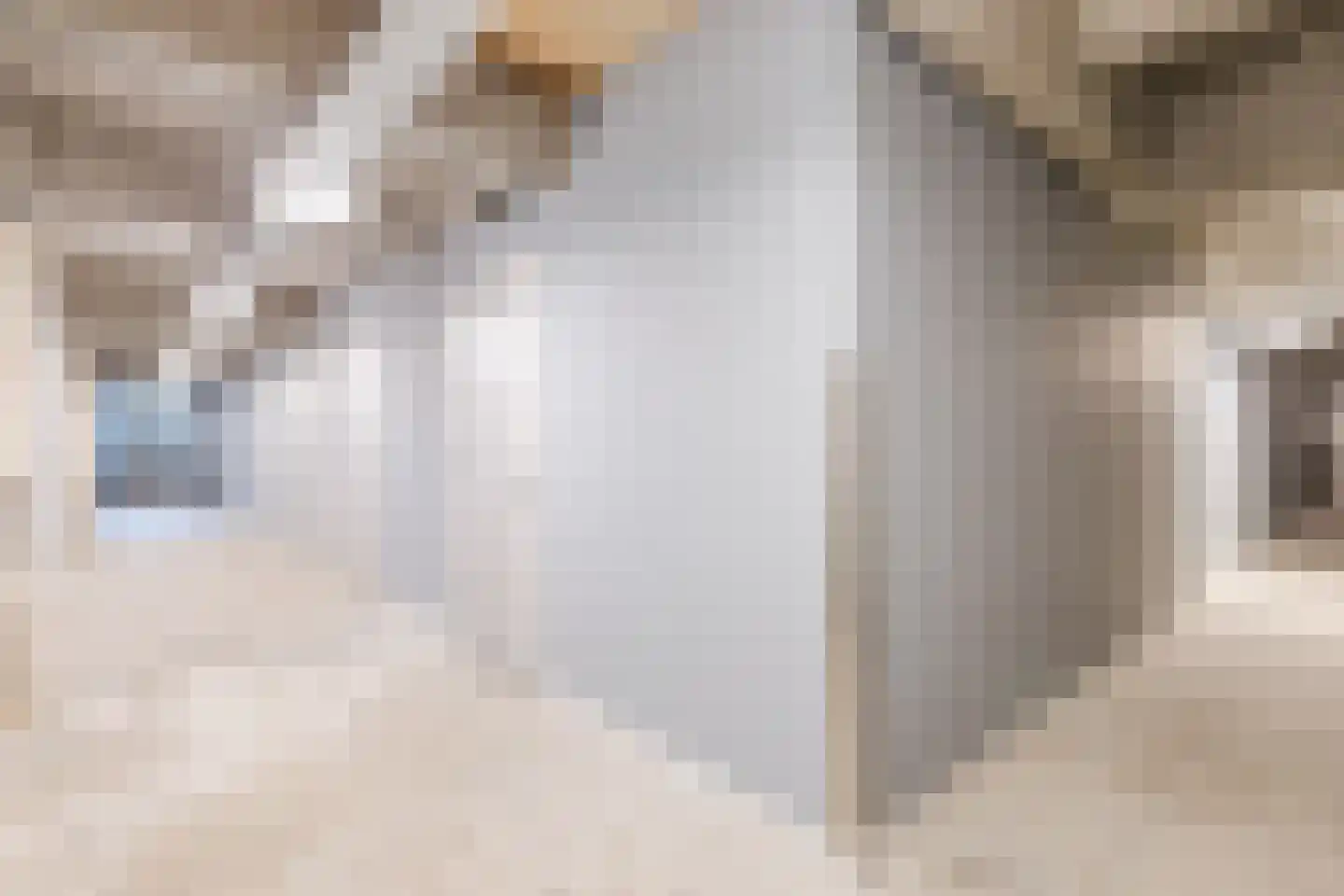 Hendrik Ringershof 11 Alkmaar thumbnail 37