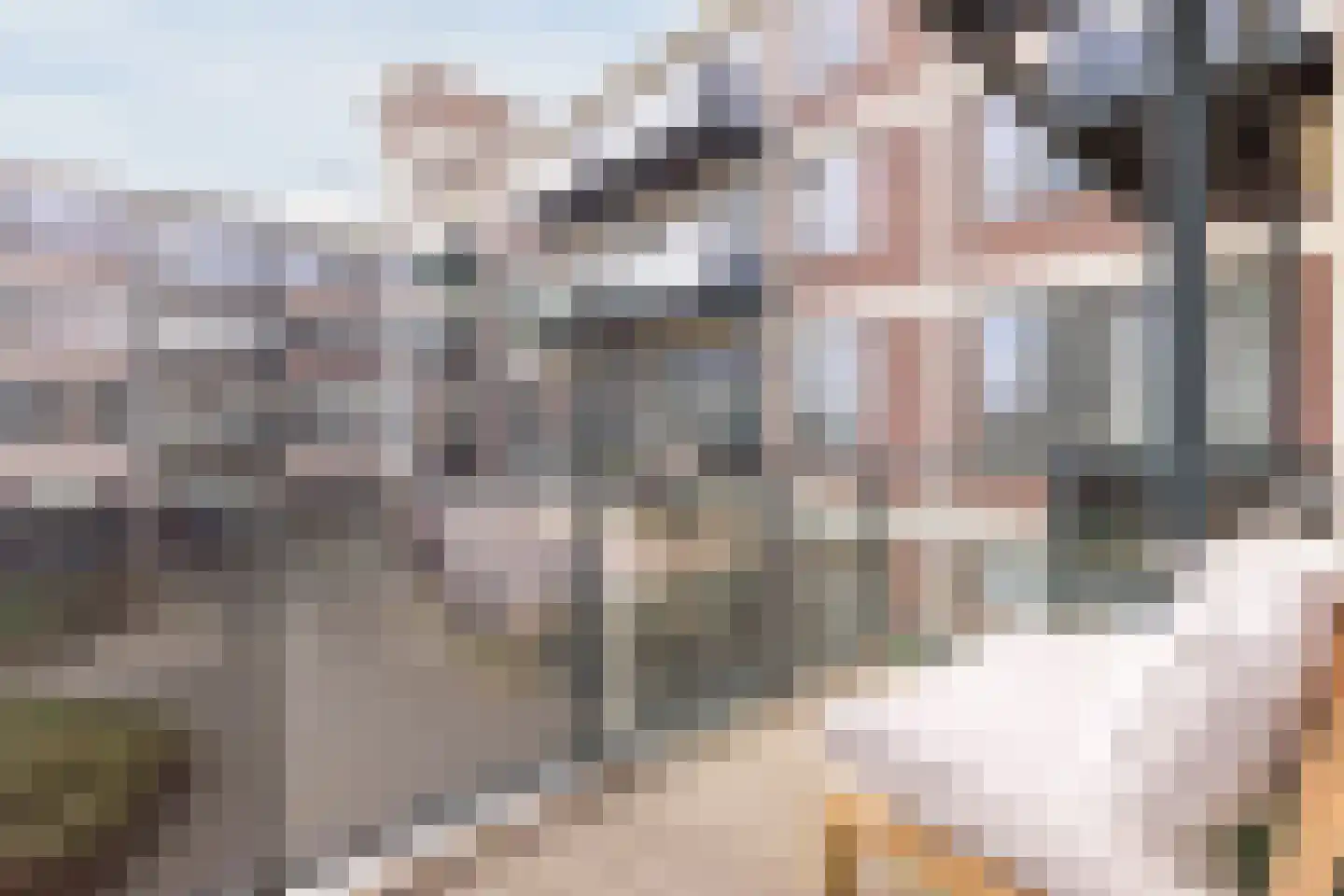 Hendrik Ringershof 11 Alkmaar thumbnail 6