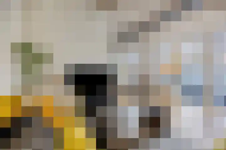 Hendrik Ringershof 26 Alkmaar thumbnail 16