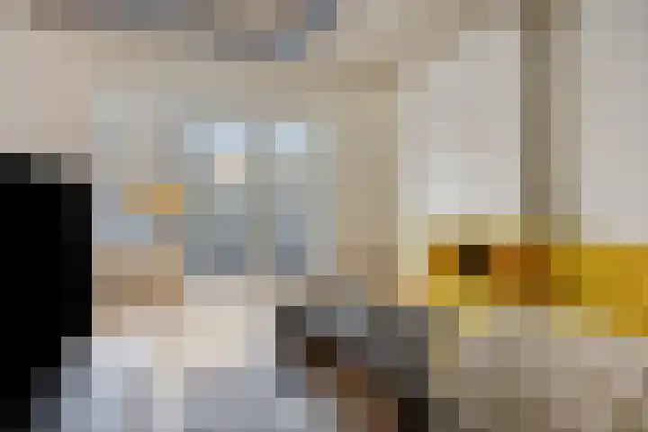 Hendrik Ringershof 26 Alkmaar thumbnail 17