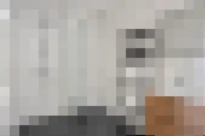 Hendrik Ringershof 26 Alkmaar thumbnail 21