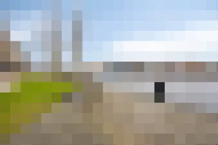 Hendrik Ringershof 26 Alkmaar thumbnail 25