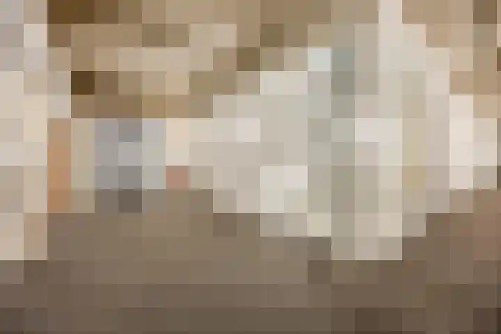 Hendrik Ringershof 26 Alkmaar thumbnail 7