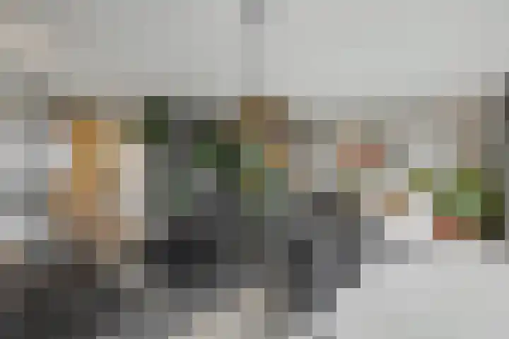 Hendrik Ringershof 29 Alkmaar thumbnail 11