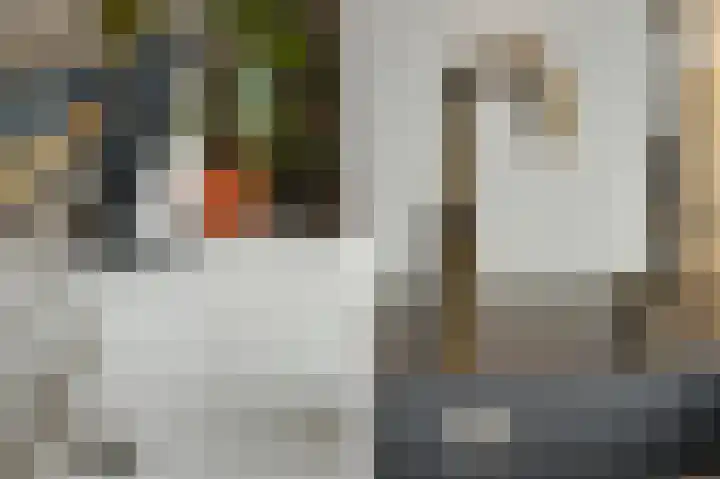 Hendrik Ringershof 29 Alkmaar thumbnail 19