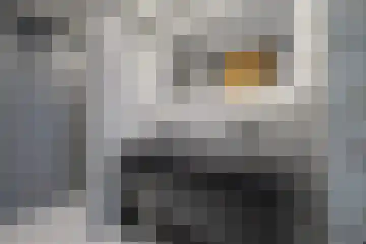 Hendrik Ringershof 29 Alkmaar thumbnail 28
