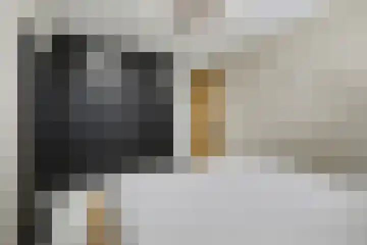 Hendrik Ringershof 29 Alkmaar thumbnail 36
