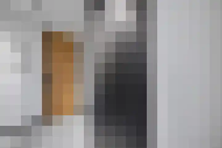 Hendrik Ringershof 29 Alkmaar thumbnail 39