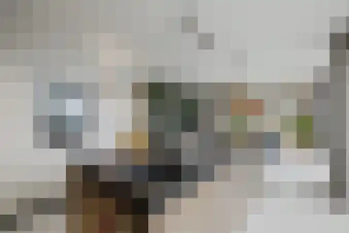 Hendrik Ringershof 29 Alkmaar thumbnail 4