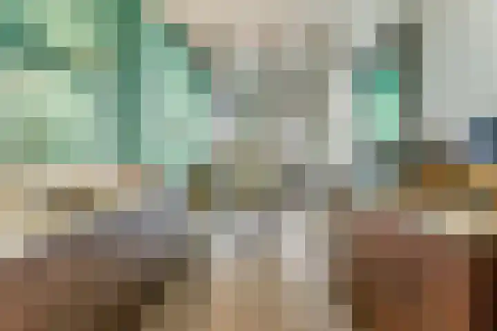 Hendrik Ringershof 3 Alkmaar thumbnail 17