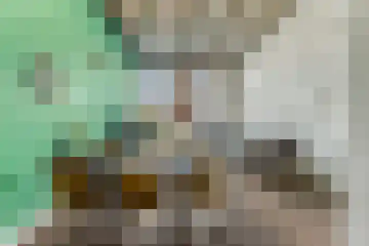 Hendrik Ringershof 3 Alkmaar thumbnail 18
