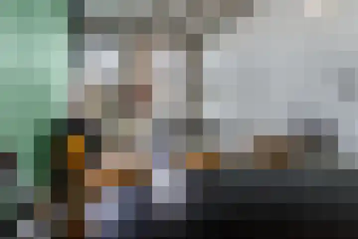 Hendrik Ringershof 3 Alkmaar thumbnail 19