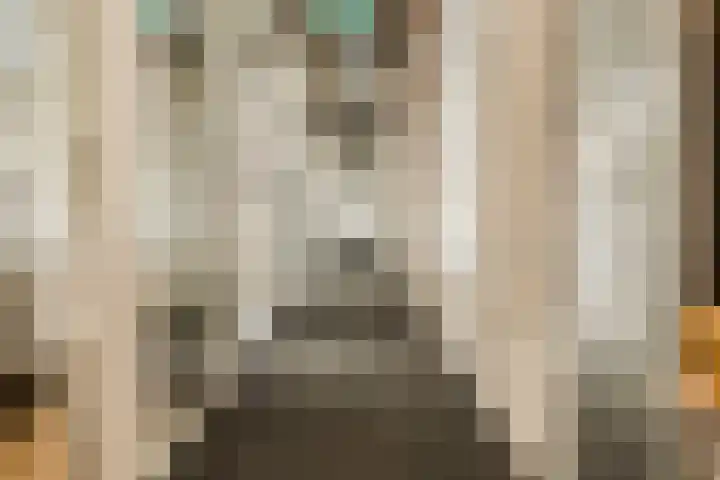 Hendrik Ringershof 3 Alkmaar thumbnail 8