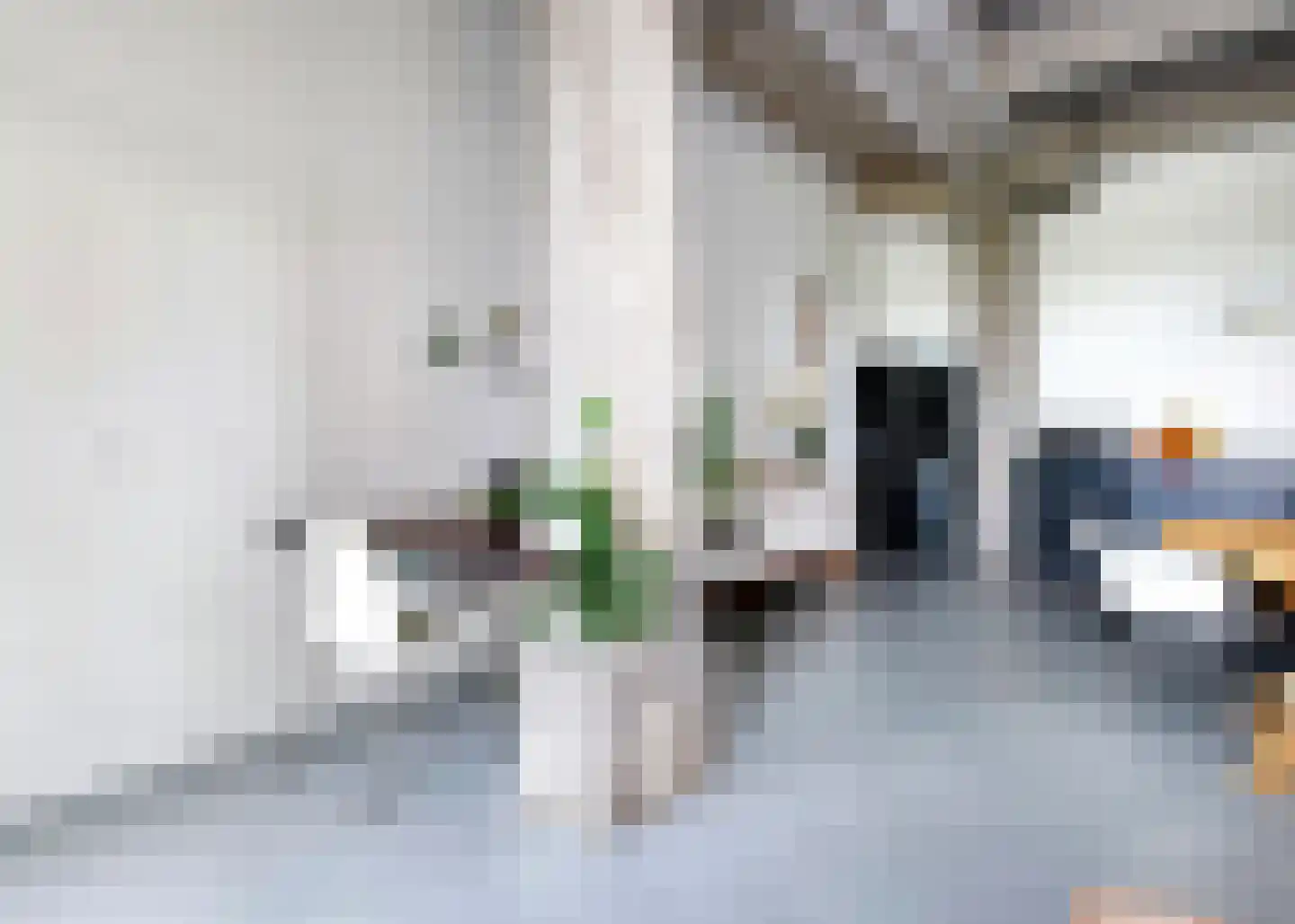 Hendrik Ringershof 8 Alkmaar thumbnail 10