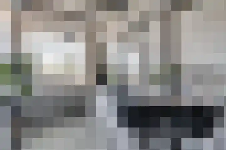 Hendrik Ringershof 8 Alkmaar thumbnail 11
