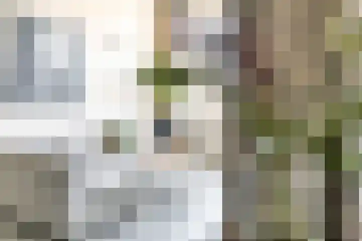Hendrik Ringershof 8 Alkmaar thumbnail 13