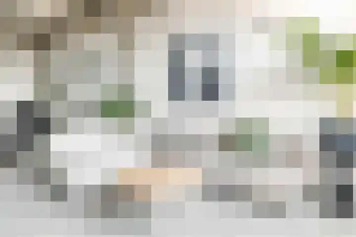 Hendrik Ringershof 8 Alkmaar thumbnail 15
