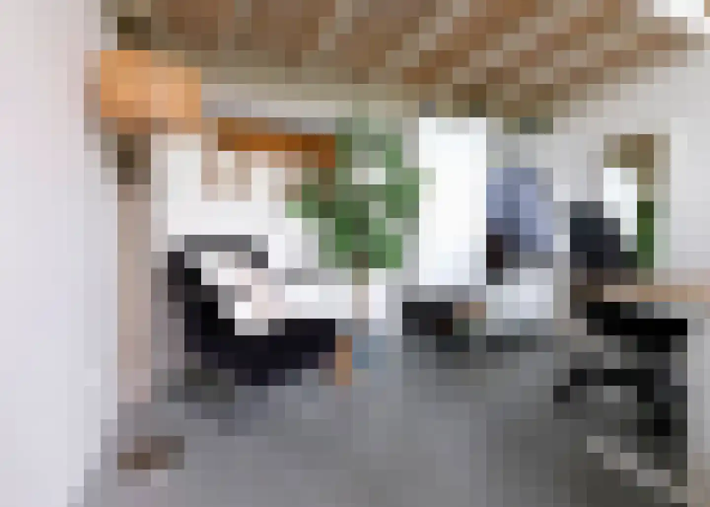 Hendrik Ringershof 8 Alkmaar thumbnail 15