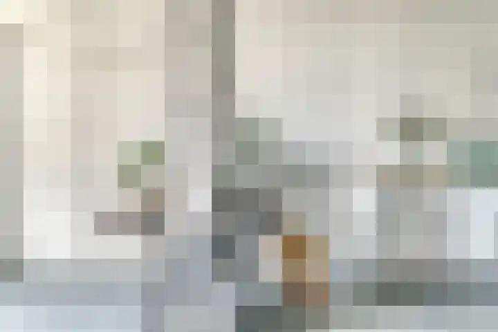 Hendrik Ringershof 8 Alkmaar thumbnail 16