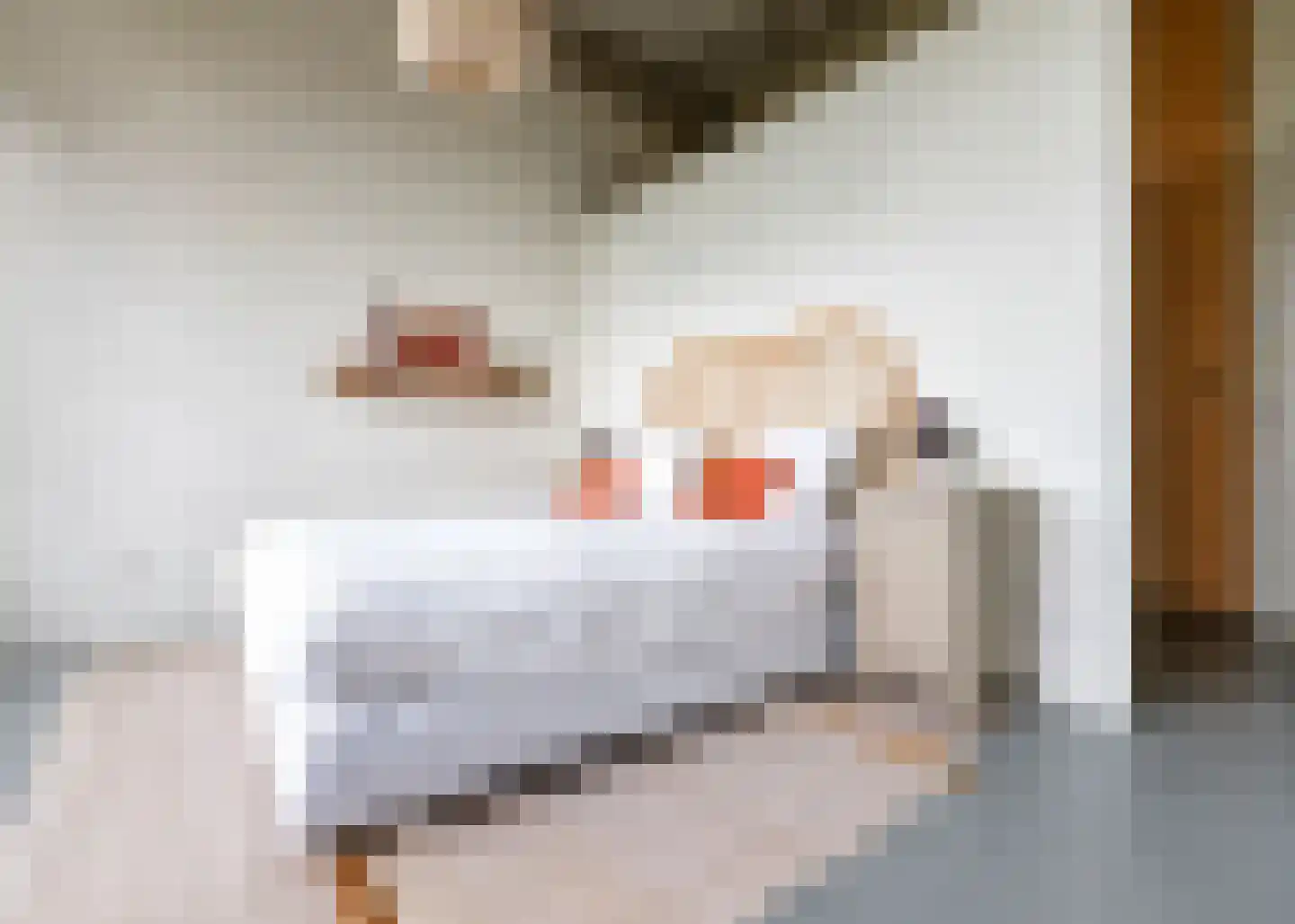 Hendrik Ringershof 8 Alkmaar thumbnail 17