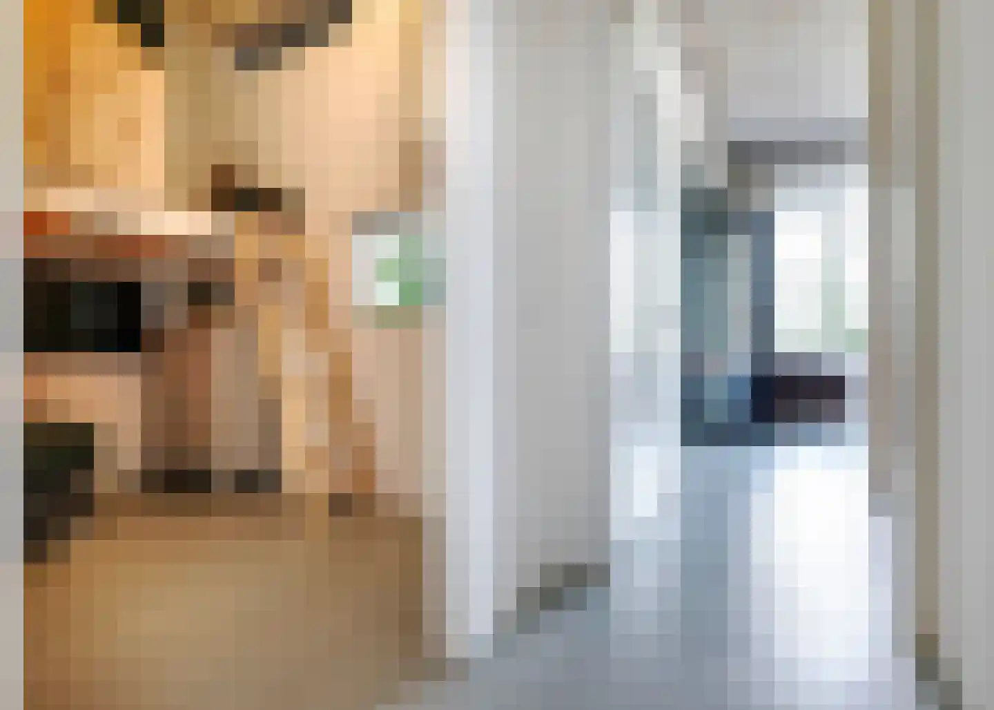 Hendrik Ringershof 8 Alkmaar thumbnail 18