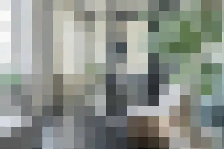 Hendrik Ringershof 8 Alkmaar thumbnail 19