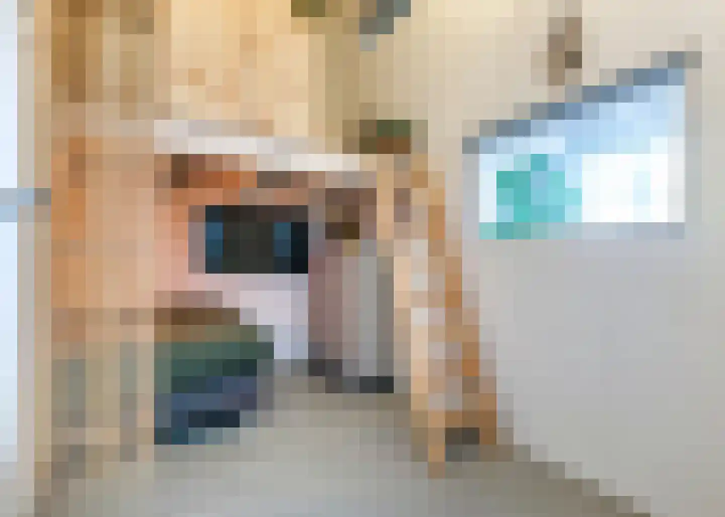 Hendrik Ringershof 8 Alkmaar thumbnail 19
